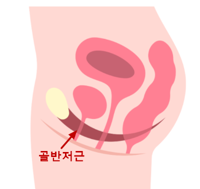 출산 후 다이어트! 몸의 회복 과정을 고려한 안전한 체중 감량법