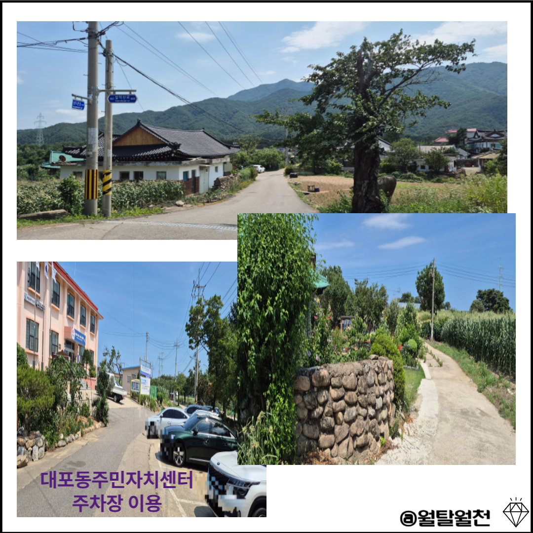 속초 신상까페 햄칠탑 주차장