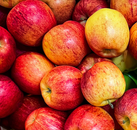 사과의 효능과 부작용 권장량