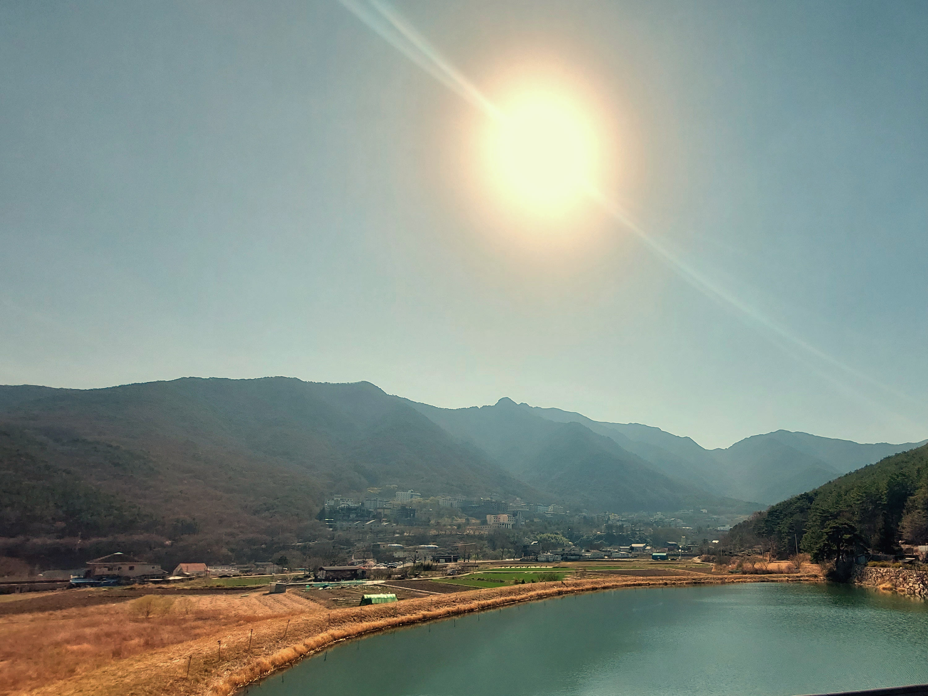 울산 맛집 농도 내부