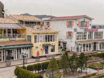 프로방스 비밀 정원 올리브 오일 허브 전통 요리 체험_14