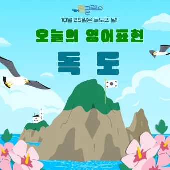 독도 배편 예약 시간표 요금 예매_3