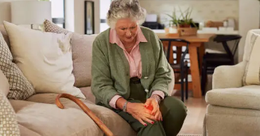 무릎 연골 기능&amp;#44; 퇴행성 변화&amp;#44; 예방운동 총 정리 (2025 ver.)