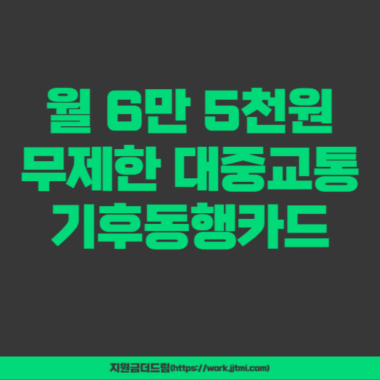 월 6만 5천원 무제한 기후동행카드