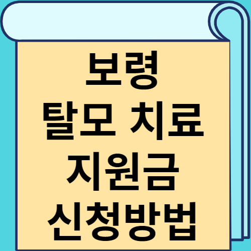 보령 탈모 치료 지원금 신청방법 썸네일