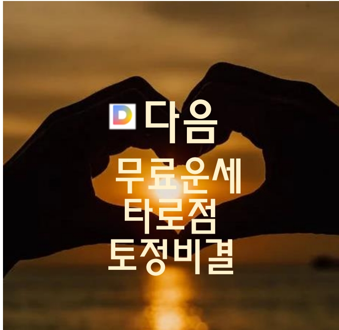 2025 다음 무료운세 토정비결 타로점보기