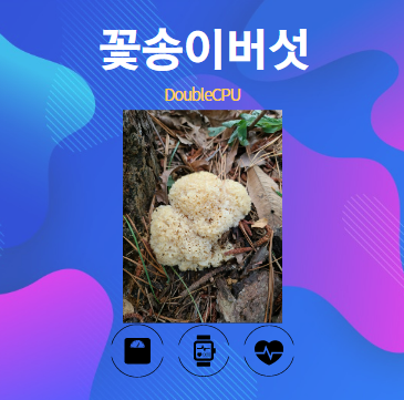 꽃송이버섯 알아보기