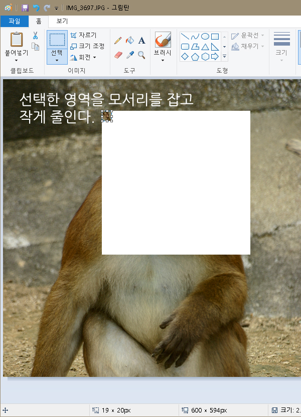 선택영역 축소