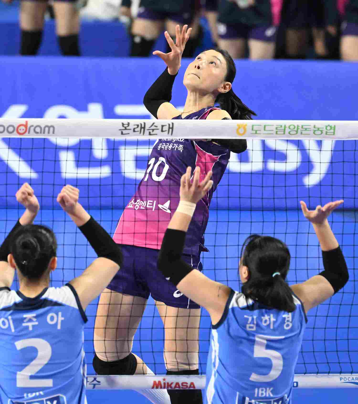 김연경 은퇴투어 일정 마지막 경기 정보 은퇴식