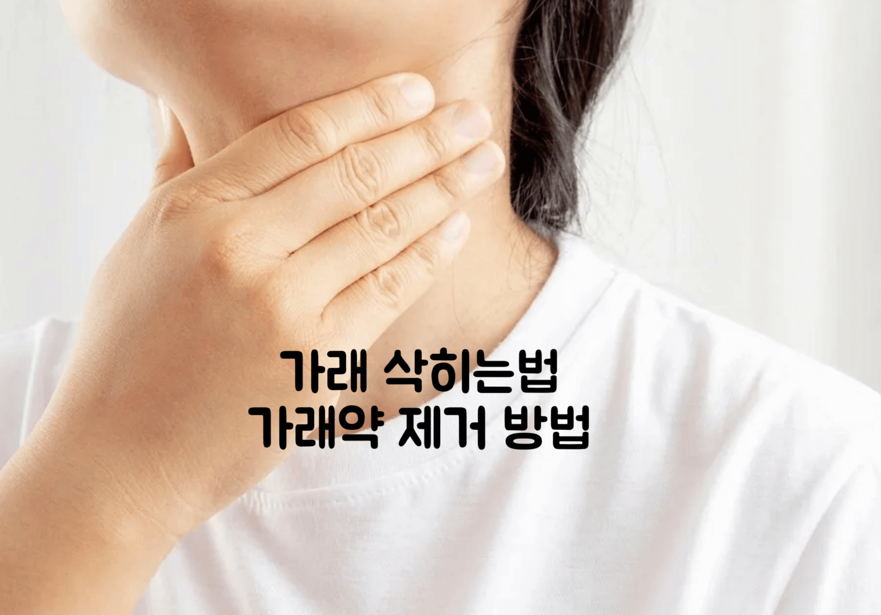 가래 삭히는법