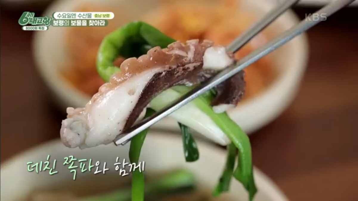 6시 내고향 충남 보령 쭈꾸미