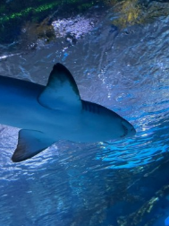 서울 비오는날 가볼만한곳 BEST 10