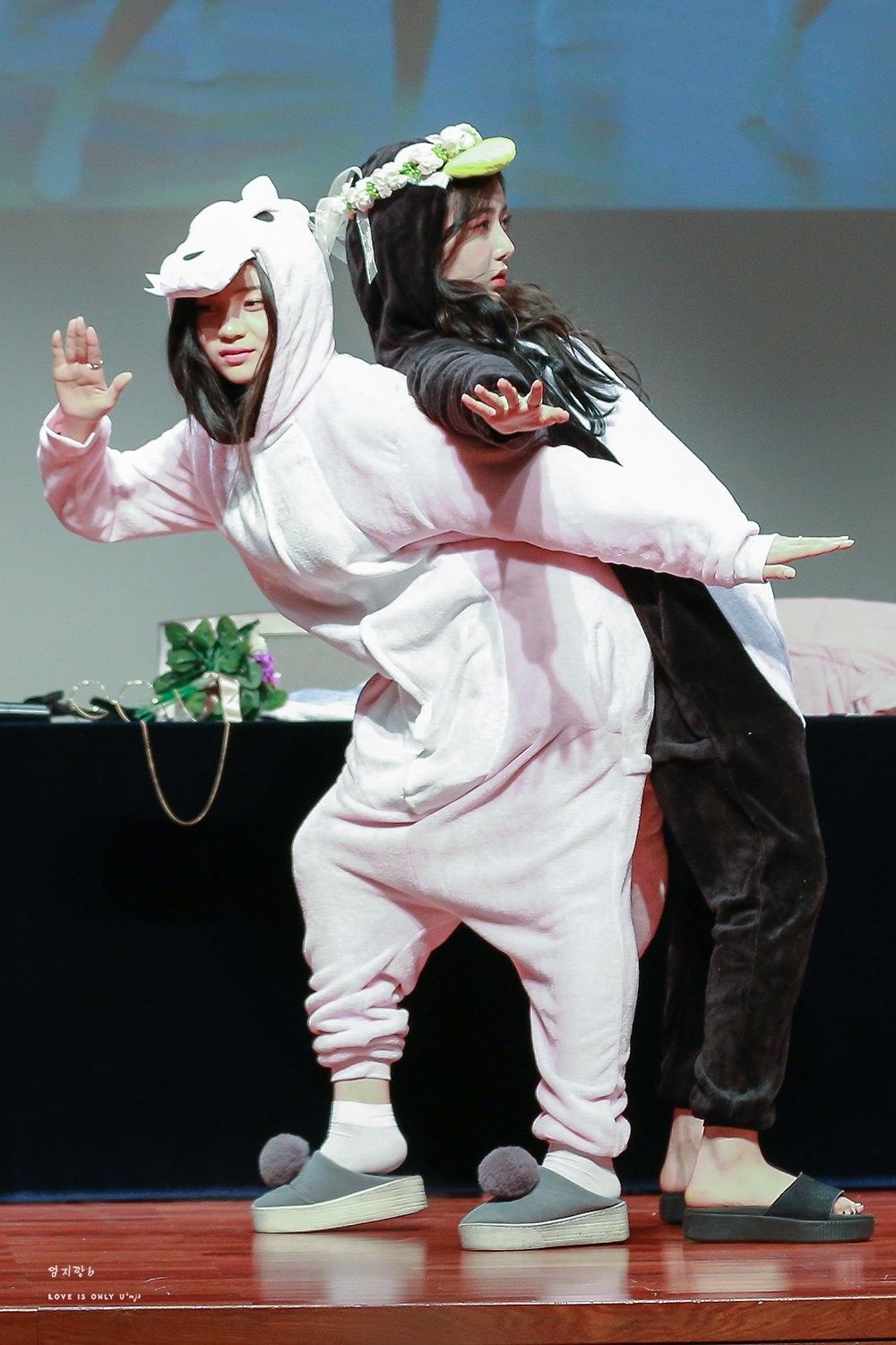 여자친구 팬사인회 모음