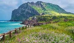 렌트카보다 획기적인!!! 제주 단체 여행법! 제주미니버스렌트업체 Top5 