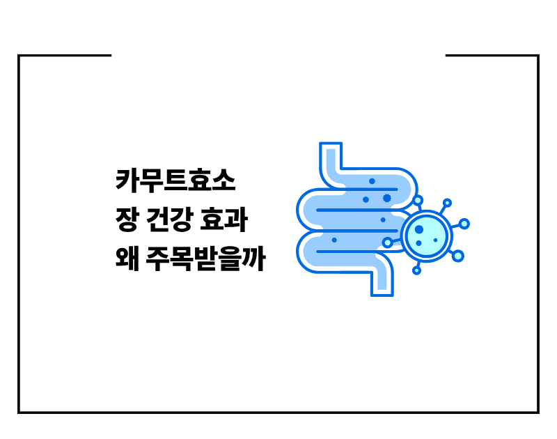 카무트효소 장 건강 효과 왜 주목받을까
