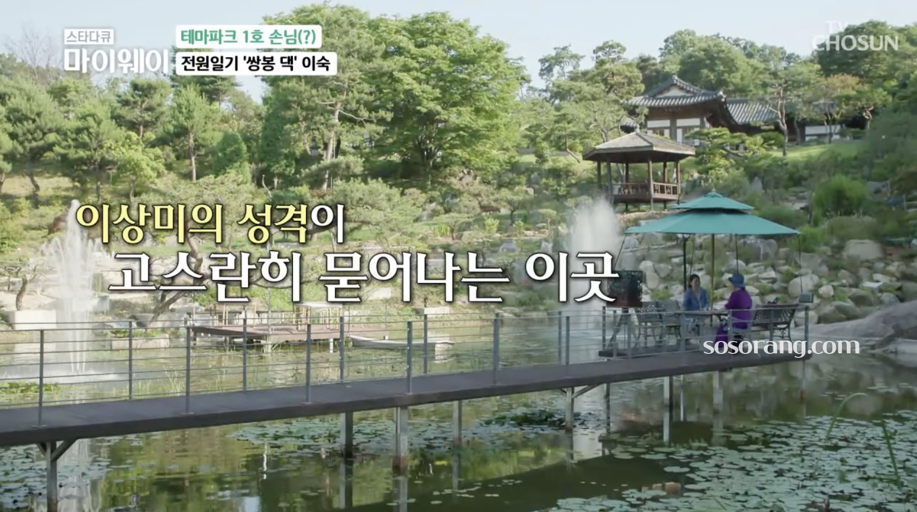 배우 이상미 여주 테마파크 전원생활 집 모습