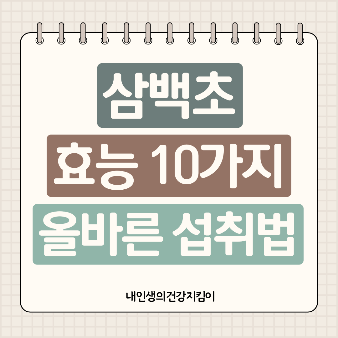 삼백초 효능 10가지와 올바른 섭취법