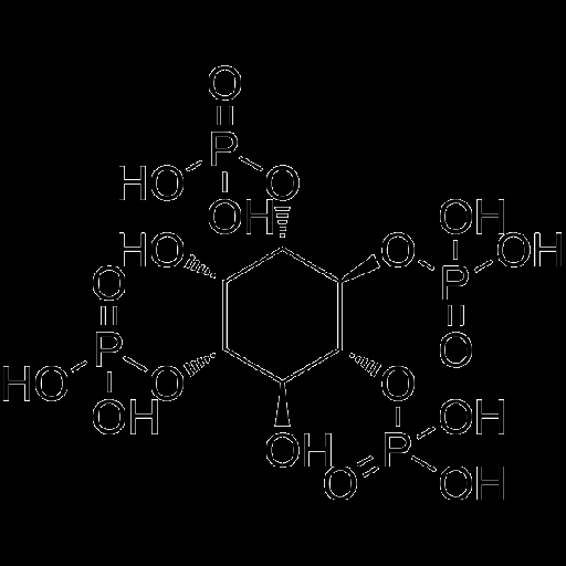 이노시톨의 효능과 부작용 주의사항