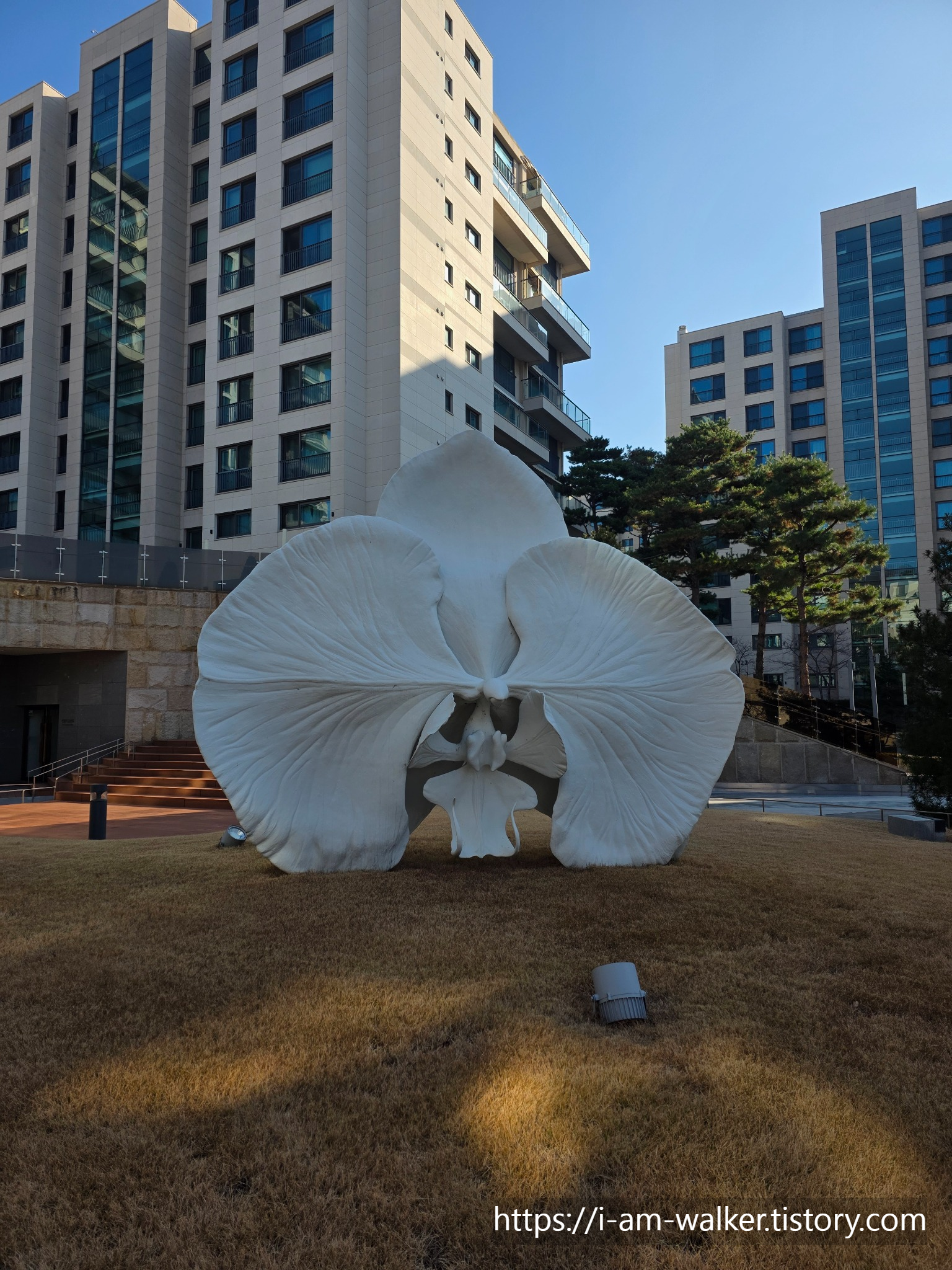한강진역, 한남초교보도육교, 한남더힐, 한남동산책, 도심걷기, 겨울산책, 오전걷기, 서울걷기, 연말풍경, 새해준비