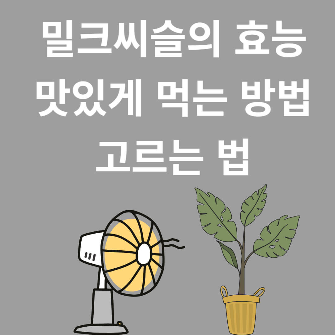 자연의 선물인 밀크씨슬의 효능과 맛있게 먹는 법, 선택 법