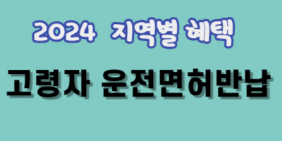 고령자 운전면허반납