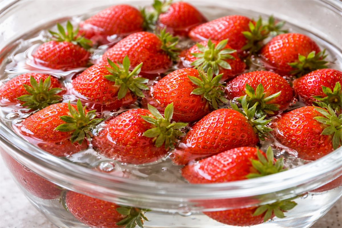 꼭지를 붙인 채 물에 담근 딸기 근접 장면