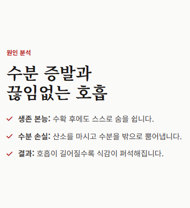사과 보관법