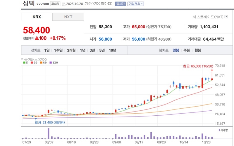 심텍 주가 변동 그래프