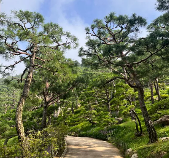 화담숲 풍경