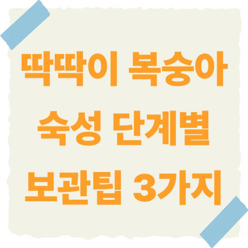 딱딱이-복숭아-보관-썸네일