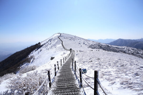 소백산 겨울