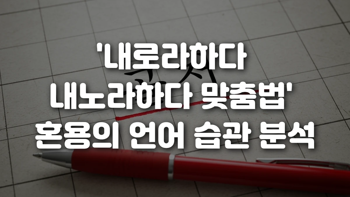 내로라하다 내노라하다 맞춤법 혼용의 언어 습관 분석