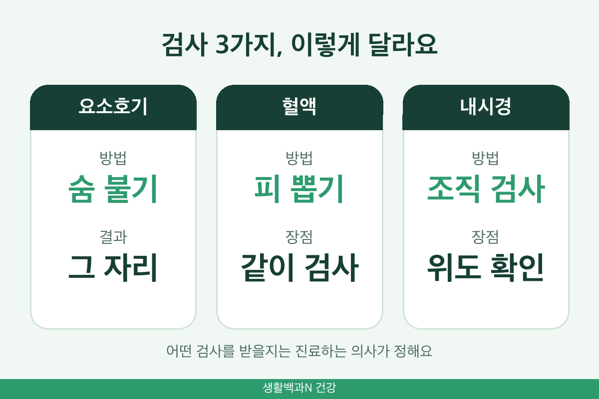헬리코박터균 검사방법 비교 요소호기검사 혈액검사 위내시경 조직검사 차이