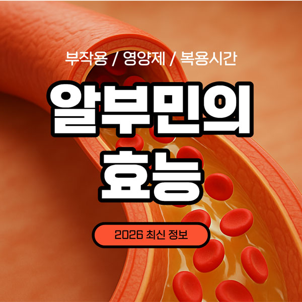 알부민의 효능