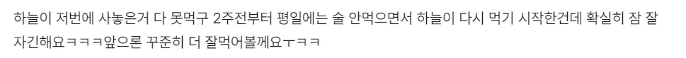GRN 하늘이 내돈내산 후기