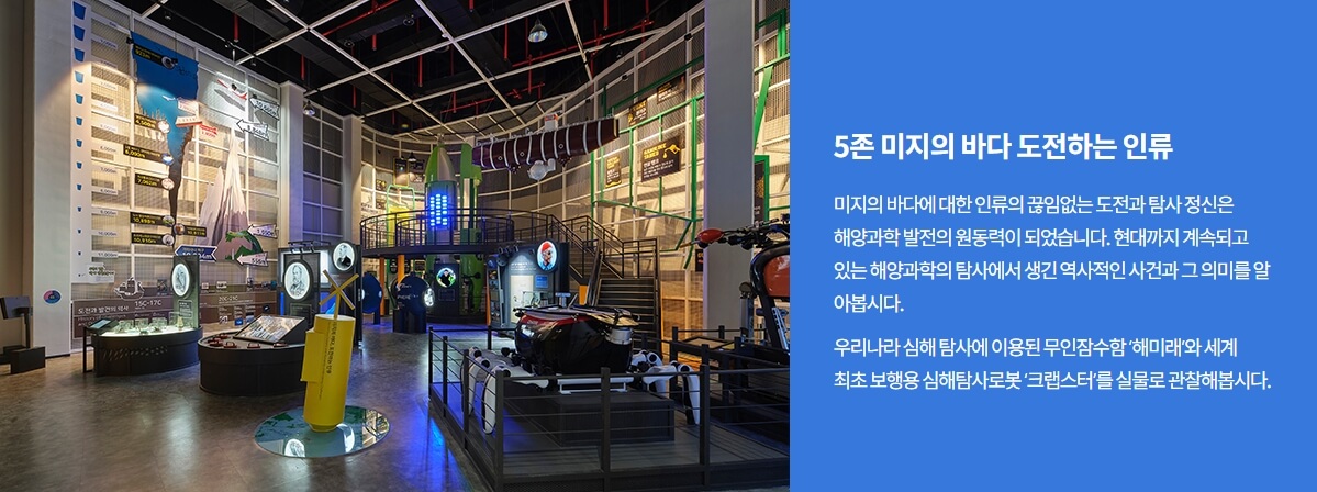5존