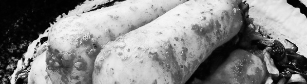 열무 키우기: 약 15cm ~ 20cm