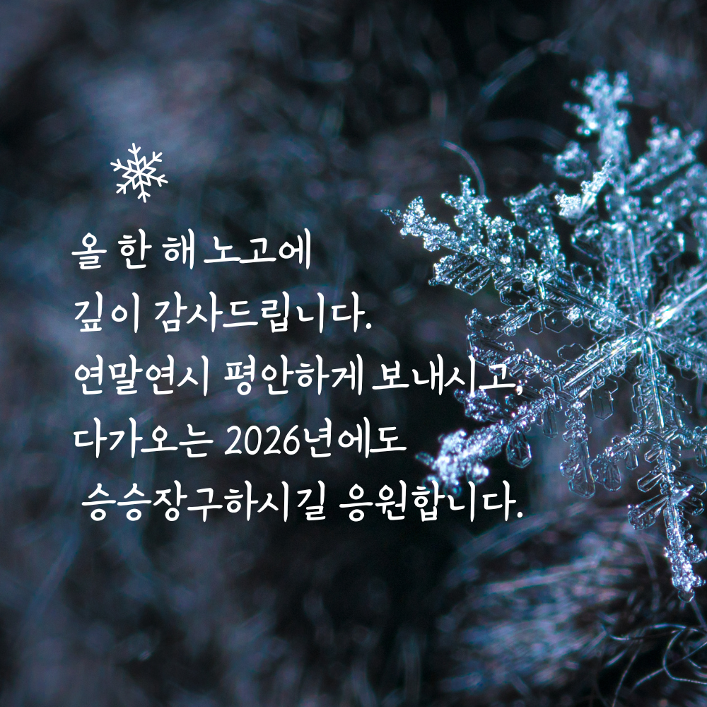 2025년 12월 인사말 문구 이미지 모음집
