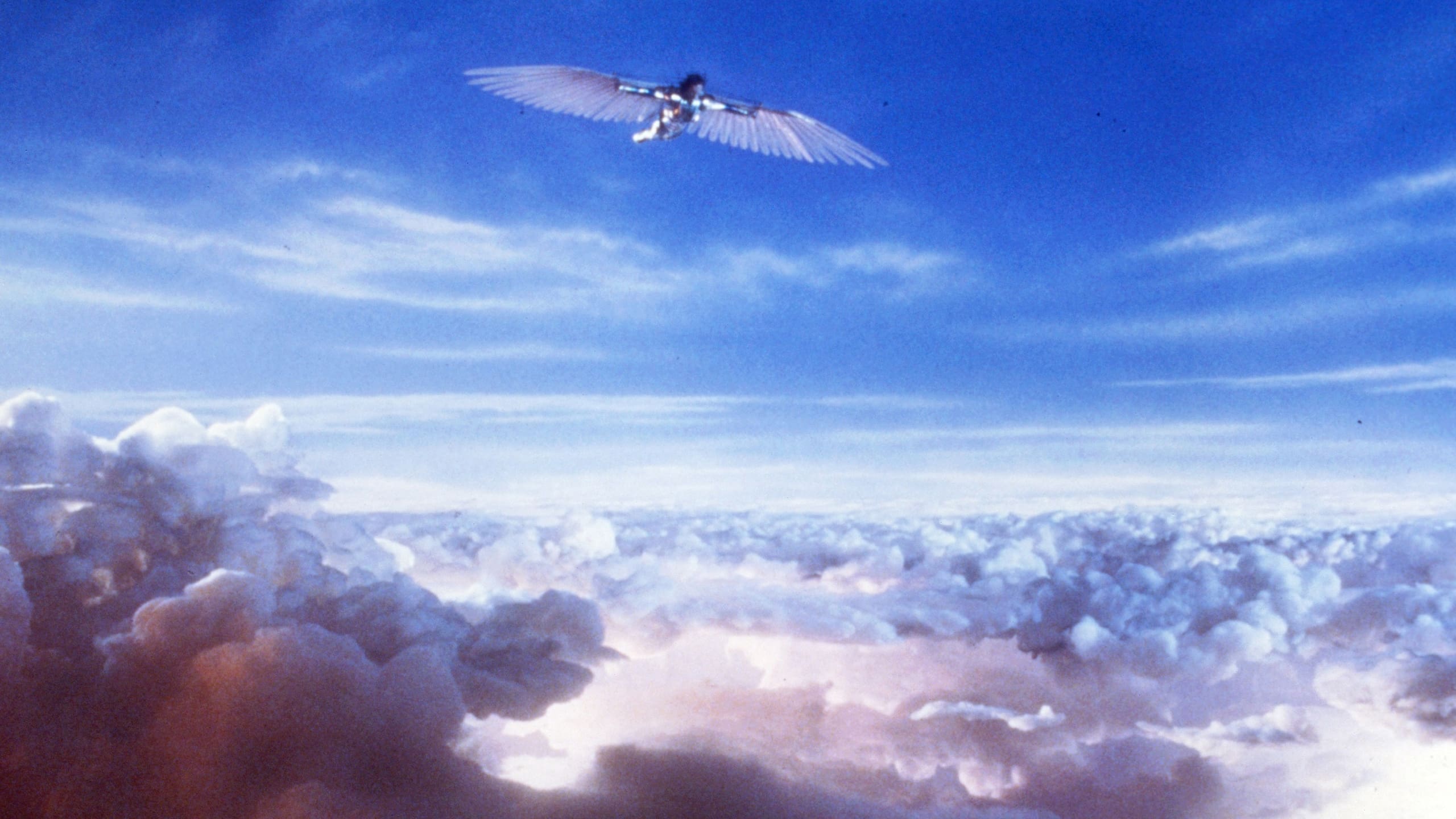 브라질 포스터 &amp; 스틸컷