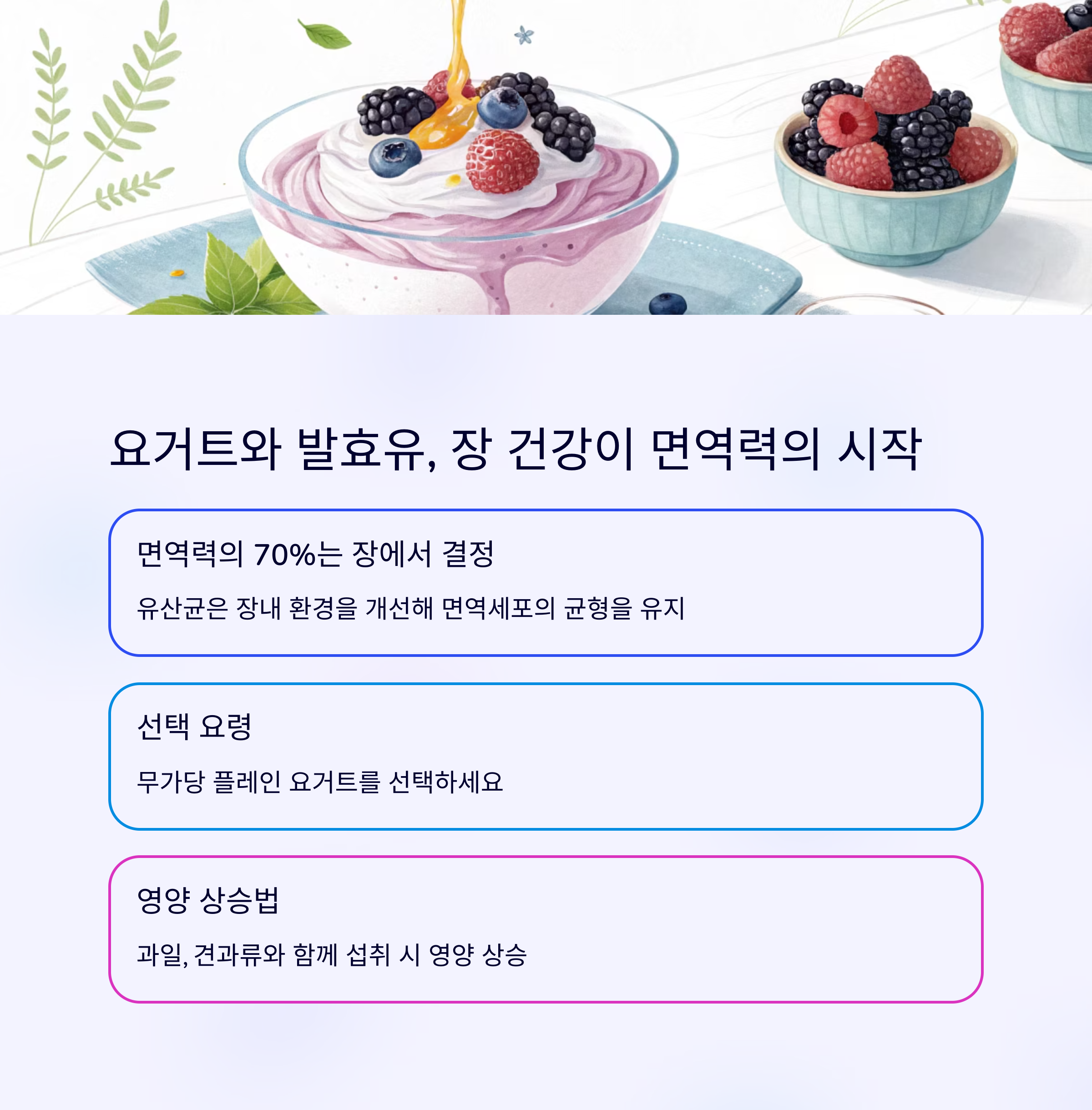 요거트