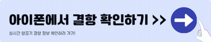 비행기 결항 확인