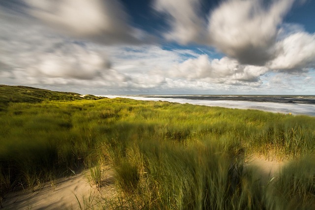 혈액순환에 좋은 음식 2