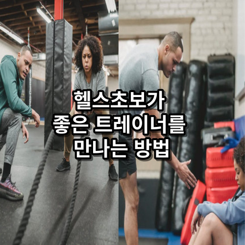 헬스초보가 좋은 트레이너 만나기