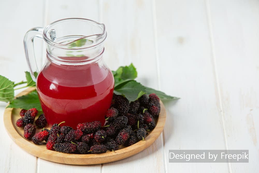 오디주 담그는 법