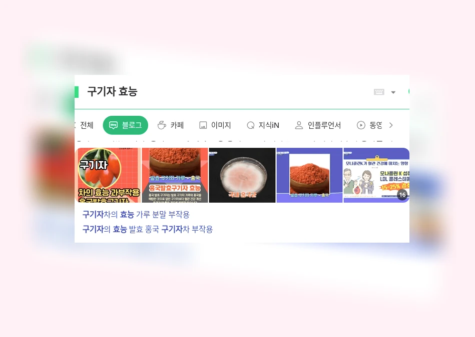 구기자 효능_1_subsection