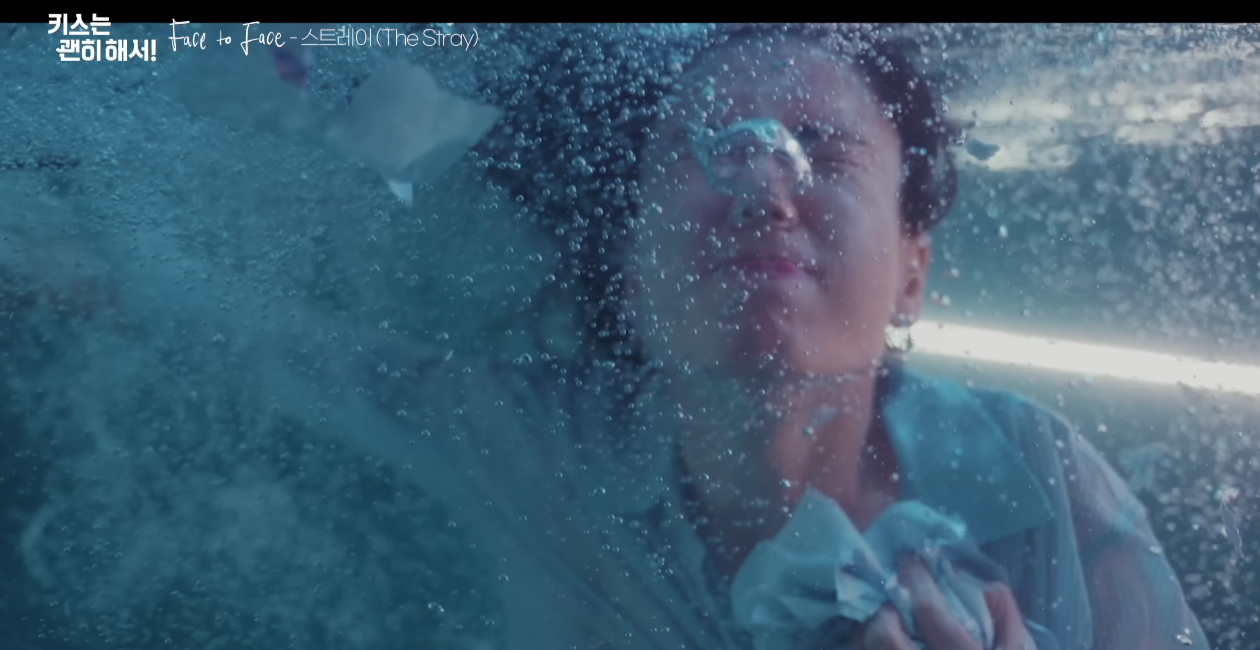 스트레이(The Stray) Face to Face