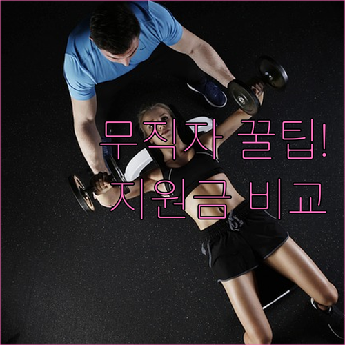 무직자 비상금대출과 정부 지원 상품 ..