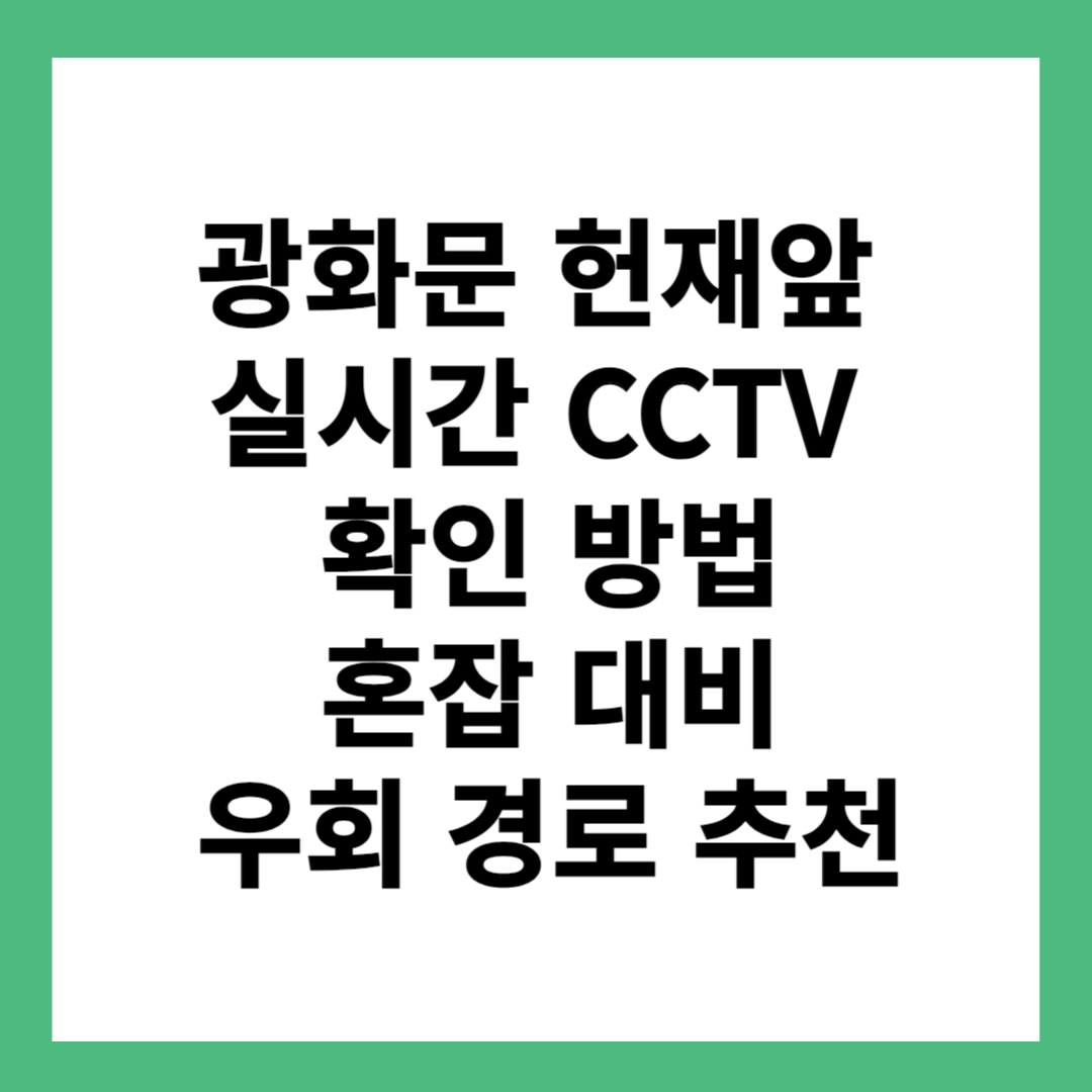 광화문 헌재앞 실시간 CCTV 확인 방법과 혼잡 대비 우회 경로 추천