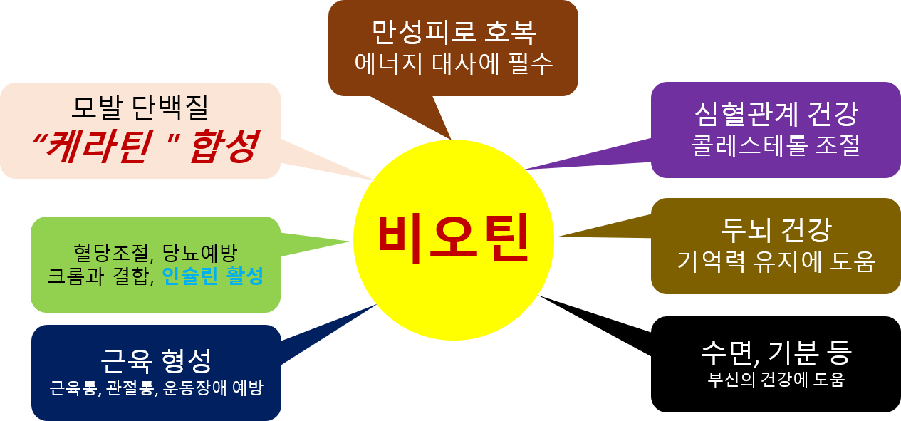 탈모두피