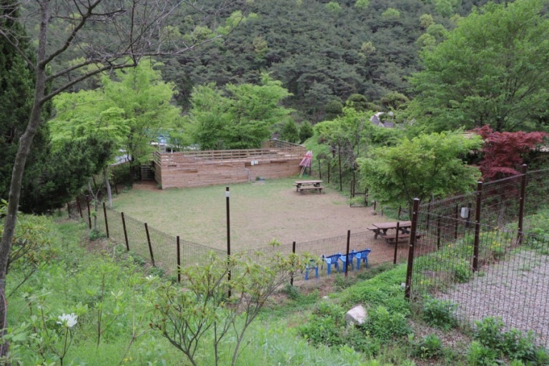 고령 가볼만한곳 베스트10